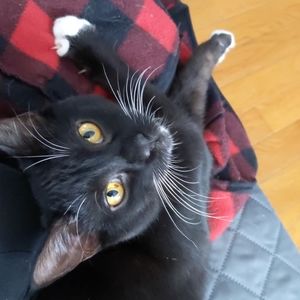 4/$25 deals through out entire closet